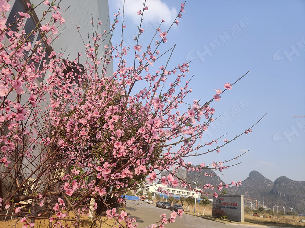桂林鴻程花團(tuán)錦簇，滿園春色，邀您一起共賞春景，共商大計(jì)！